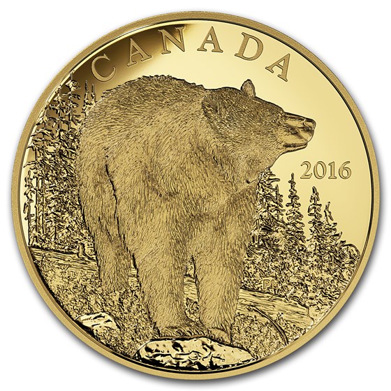 2016 Canada 1 oz Proof Gold $350 Bold Black Bear 2016 Canada 1 oz Proof Gold $350 Bold Black Bear